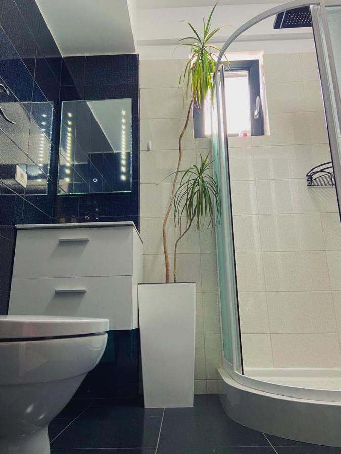 Апартаменты Peacock Apartament- Stefan Building Нэводари Экстерьер фото